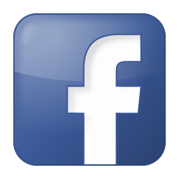 The facebook icon