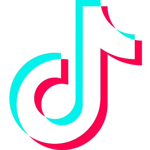 The Tiktok icon